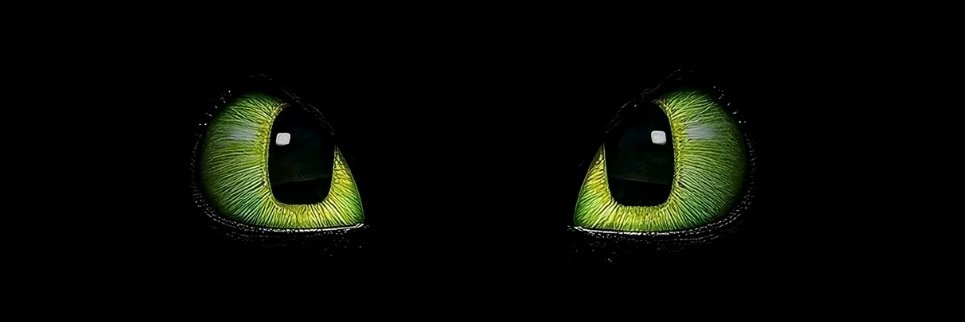 surendarkhande1's profile banner image