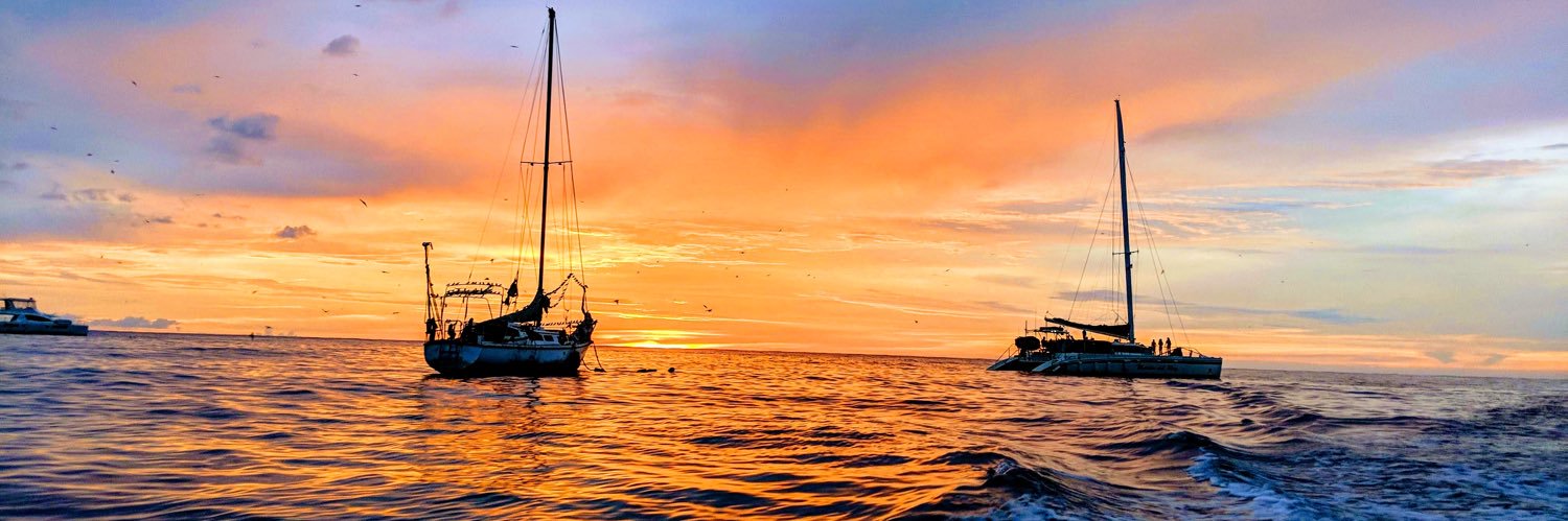 Haley_Barge's profile banner image