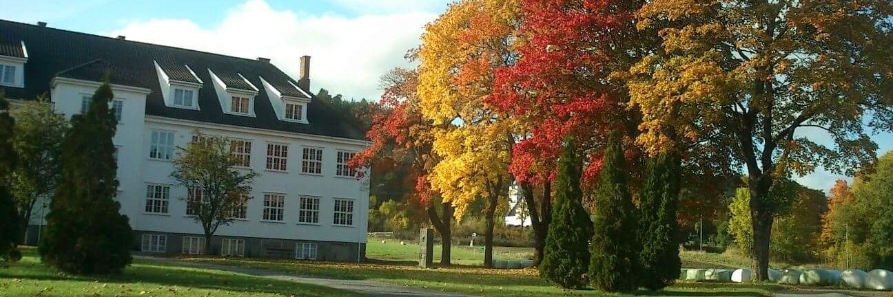 WolfSpirit94's profile banner image