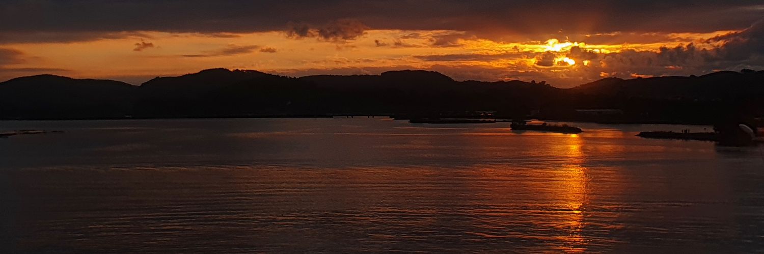 ansorgon's profile banner image
