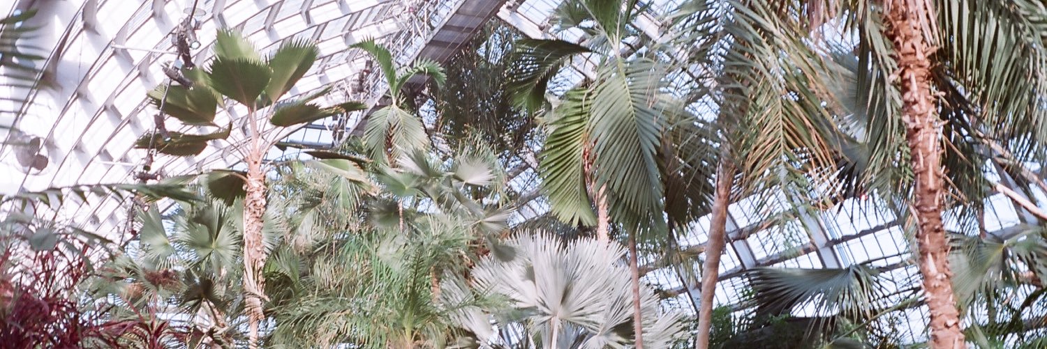 Betsy Dutcher banner