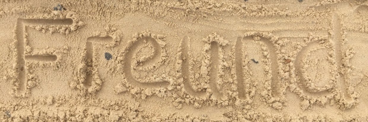 Robert Freund 💙 banner