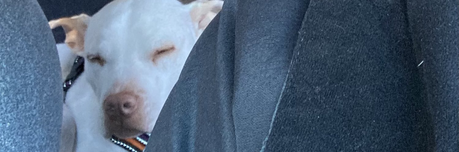 Jason DePalma banner