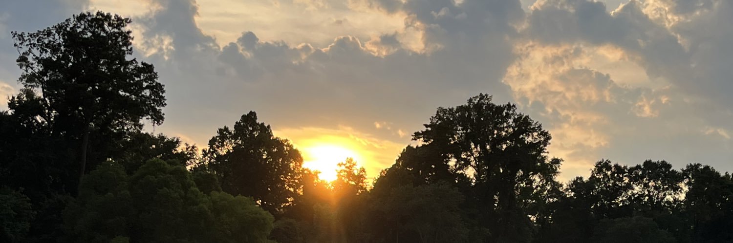rae2599's profile banner image