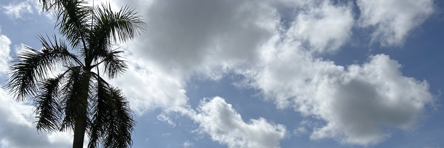 MrCalbeeChips's profile banner image