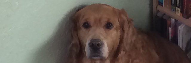 ElliotFlockhar1's profile banner image