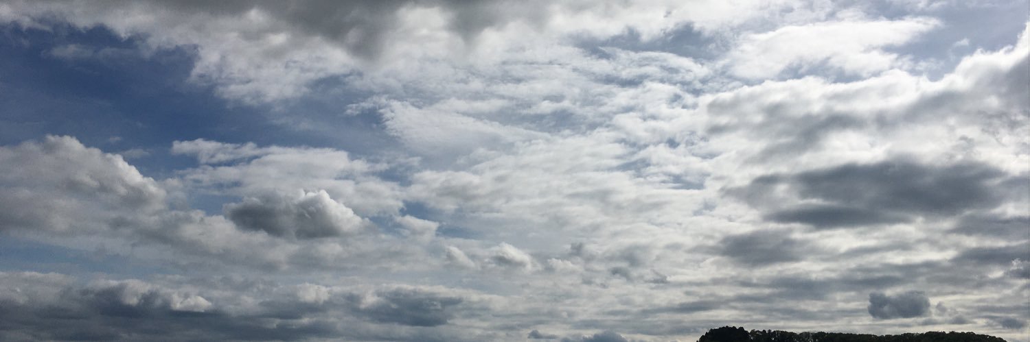 THETORUGE's profile banner image