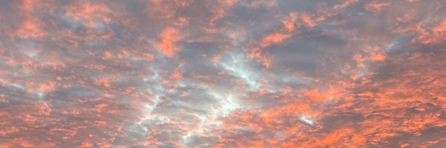Abbie Taylor banner
