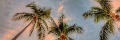 JetLifeKasey's profile banner image