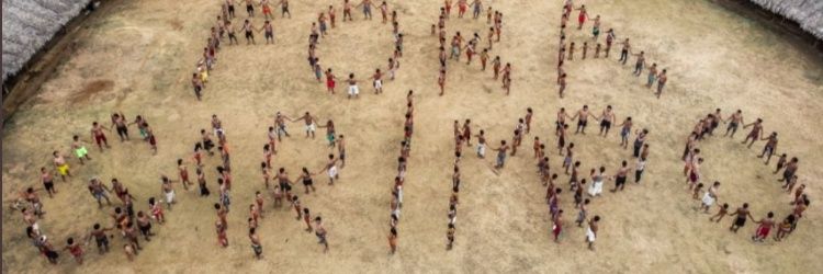 Beatriz Matos banner