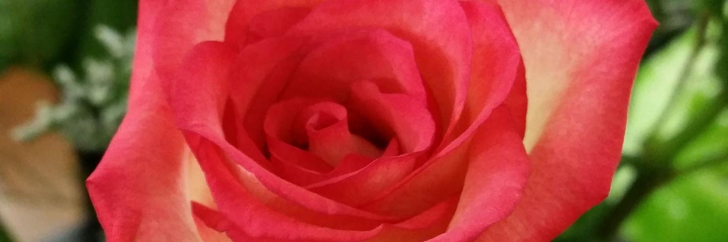 marysunst's profile banner image