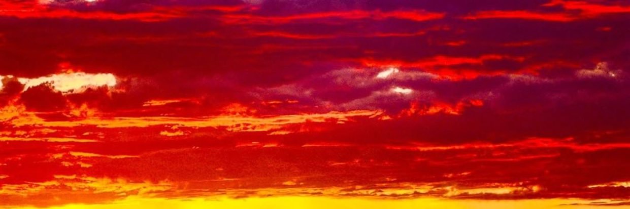 FuemmelerReagan's profile banner image