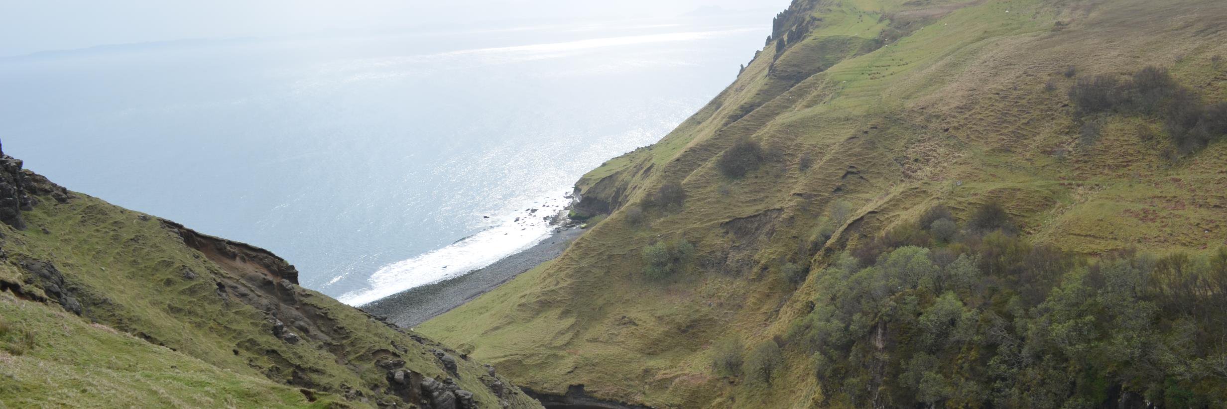 Donna Kashian banner