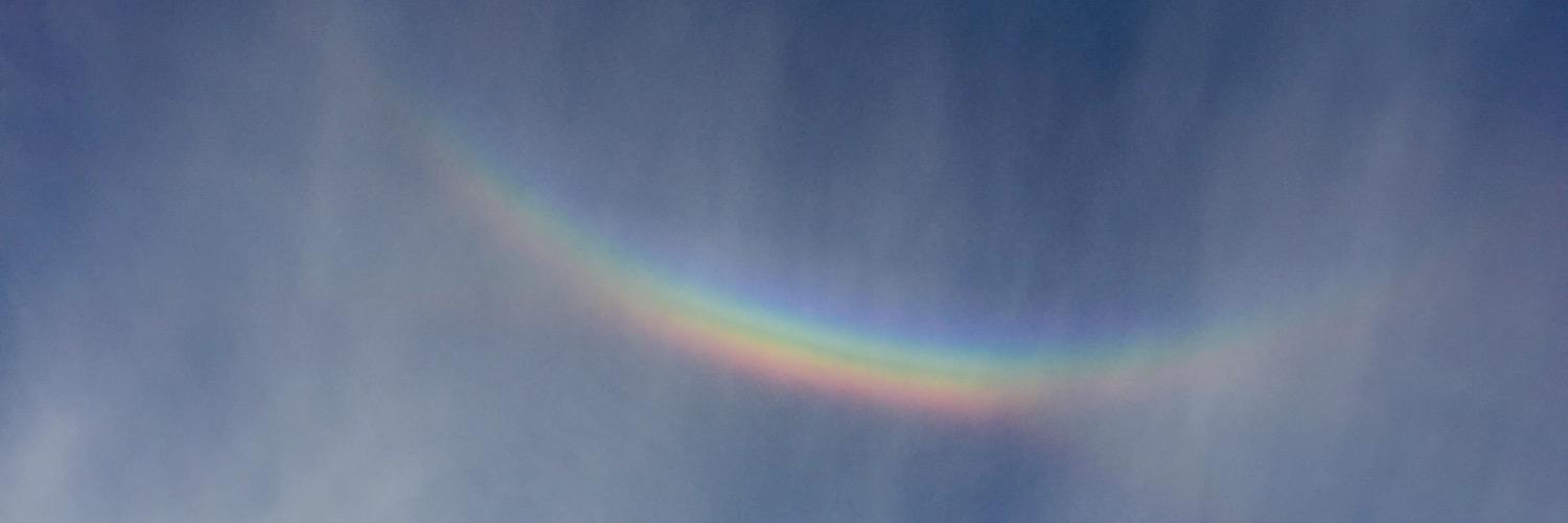 Burbage Primary Sch banner