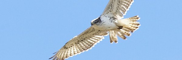 Explore_Cochise's profile banner image