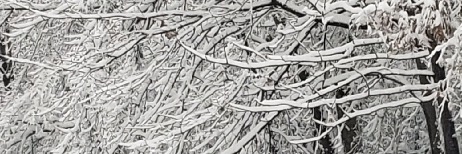 phylls_so_free's profile banner image