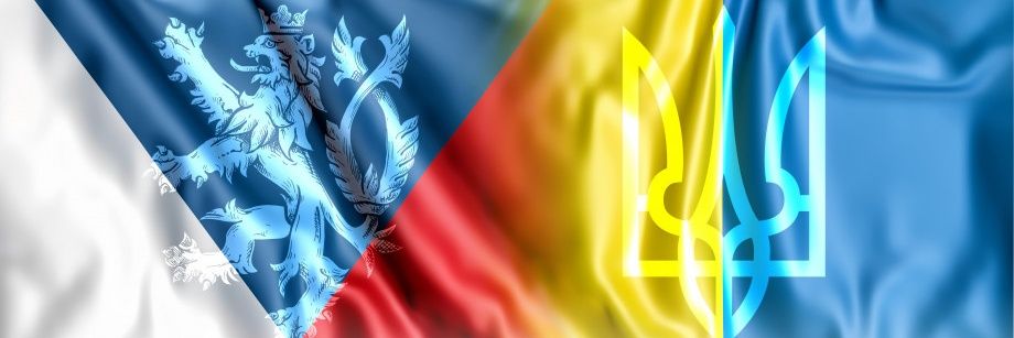 ↝𝓓𝓲𝓽𝓪 ↜'s banner