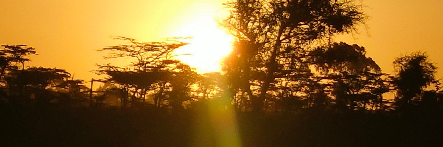 CYankem's profile banner image