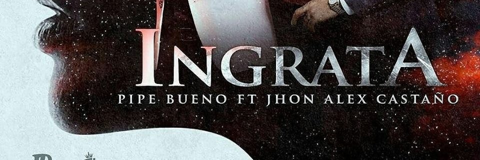 FansPBNOmedallo's profile banner image