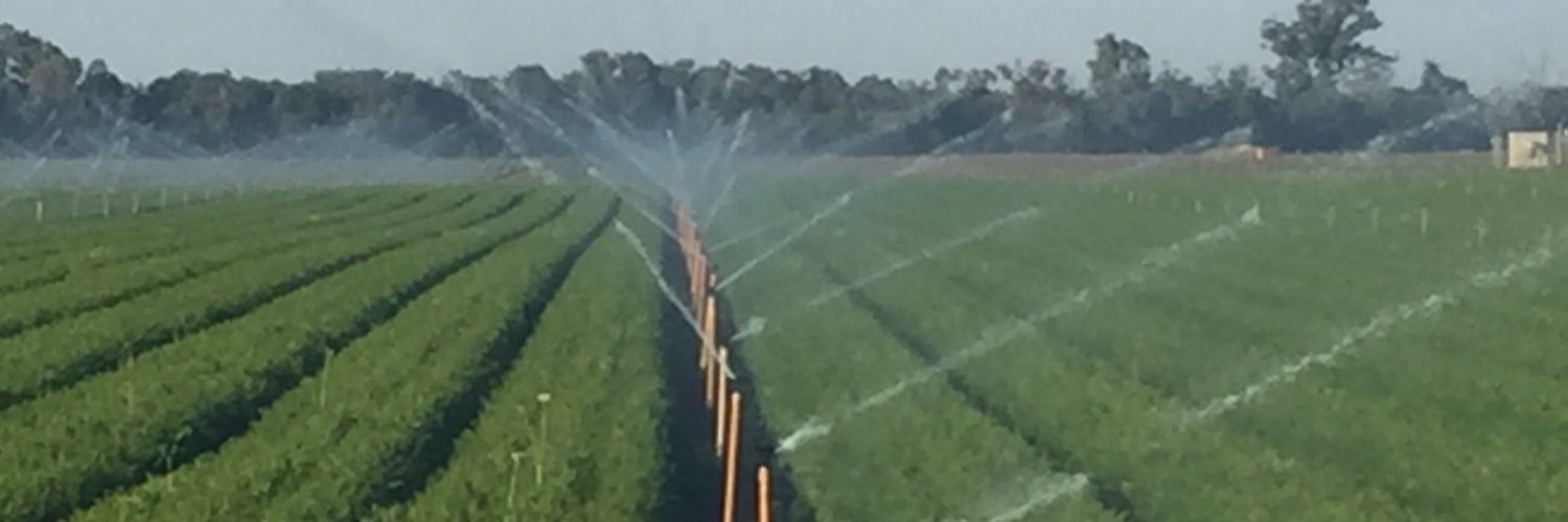 Richard George banner