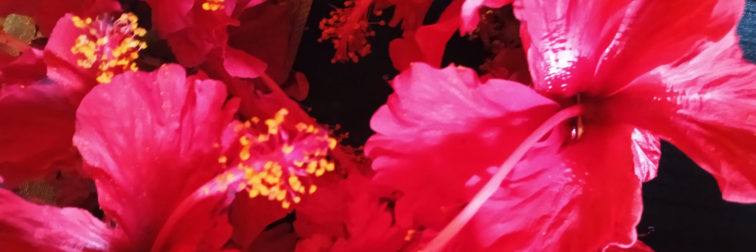 BelovedWitch2's profile banner image