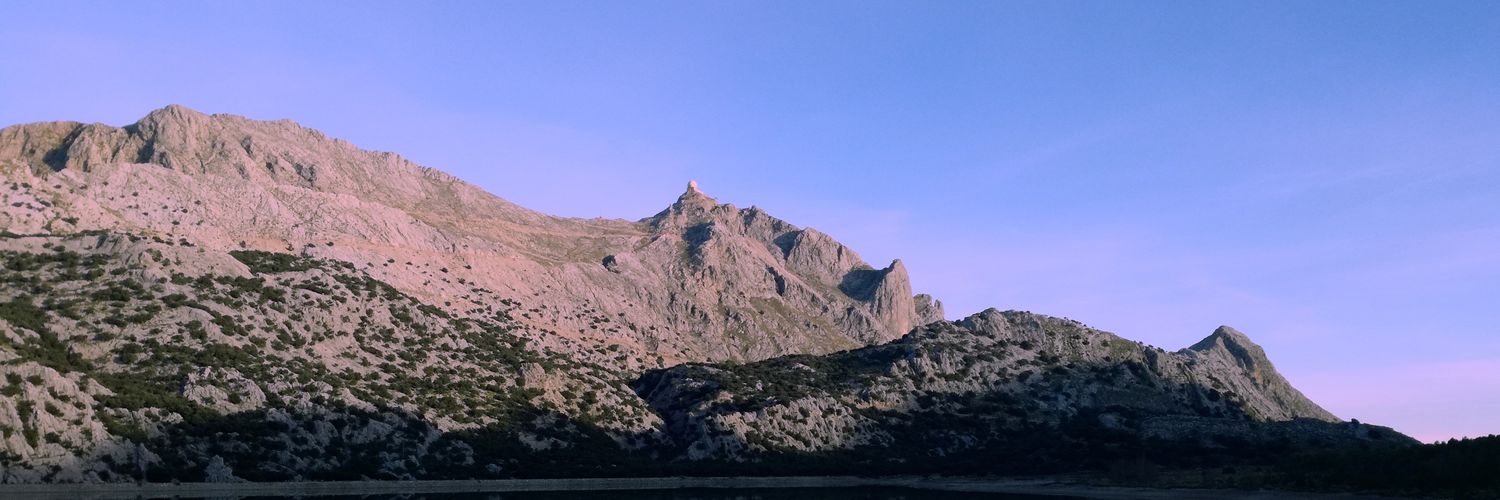 mireiacargol's profile banner image