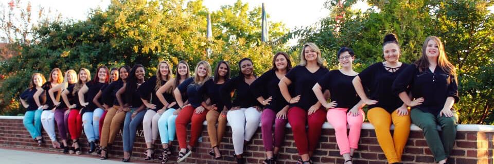 Delta Phi Epsilon - Ferrum College banner