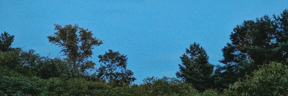 Bartd96's profile banner image