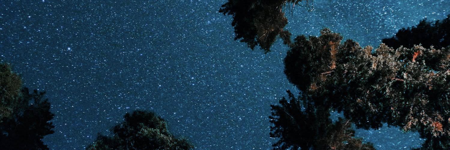 ross_christ's profile banner image