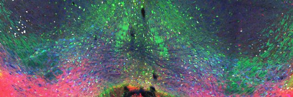 NeuronRoot Profile Banner