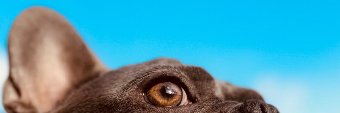 MilanTiaX's profile banner image