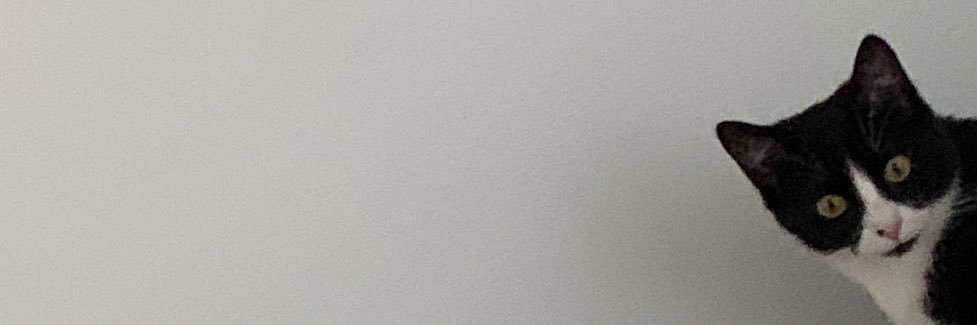 b banner