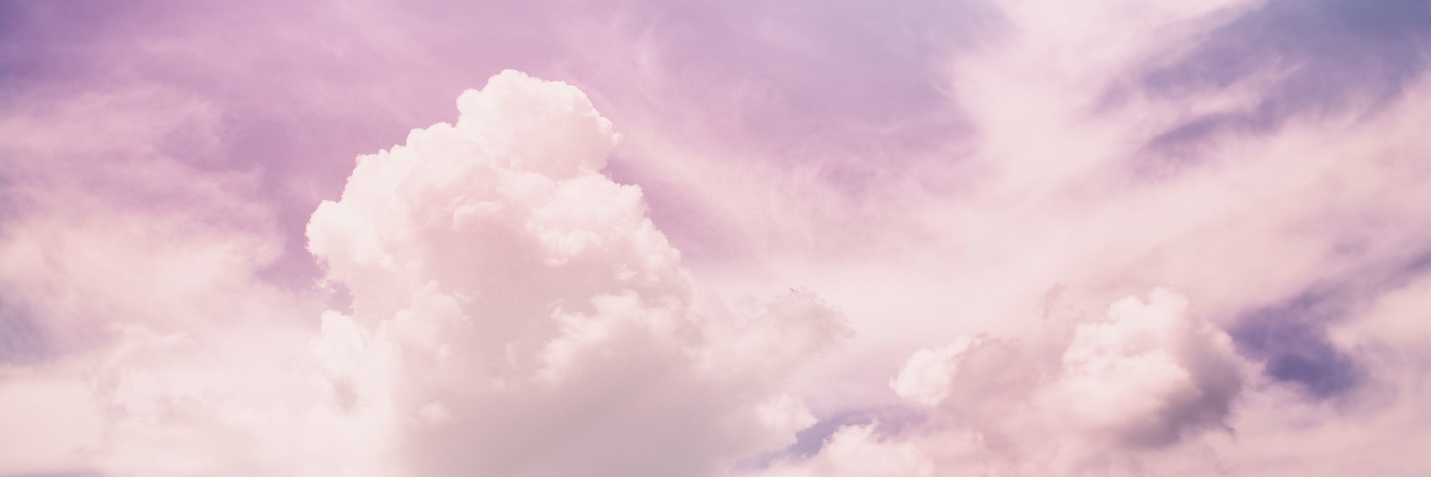 michelleeewin's profile banner image