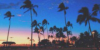 _tokkes's profile banner image