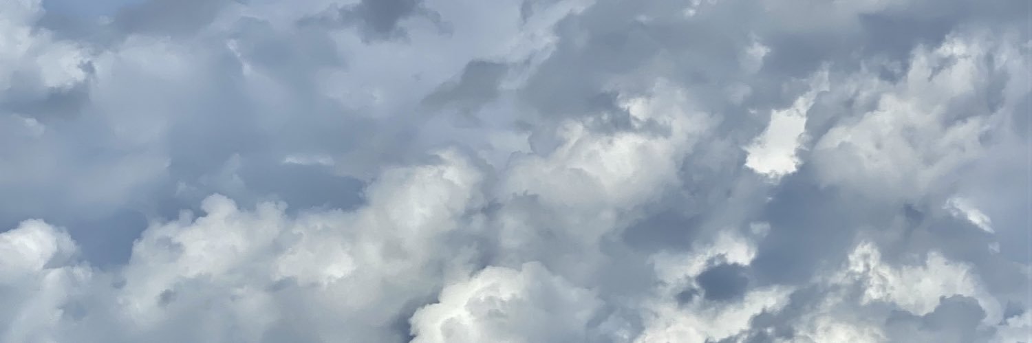 Piolly's profile banner image