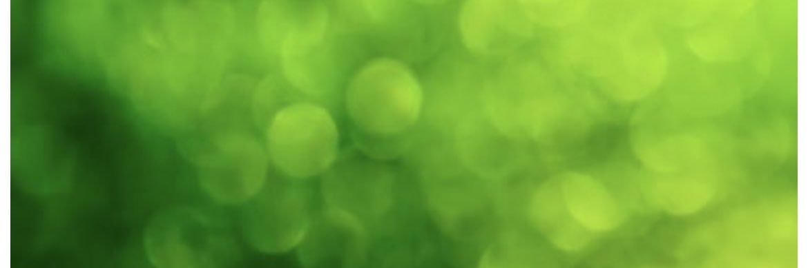 JuliH19's profile banner image