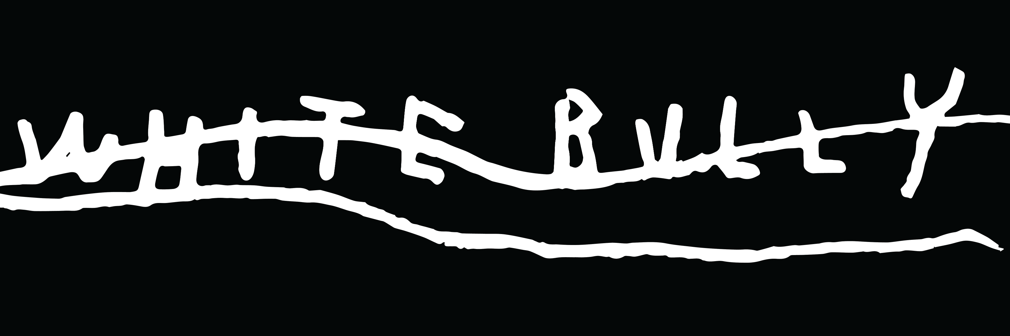 whitebullymusic's profile banner image