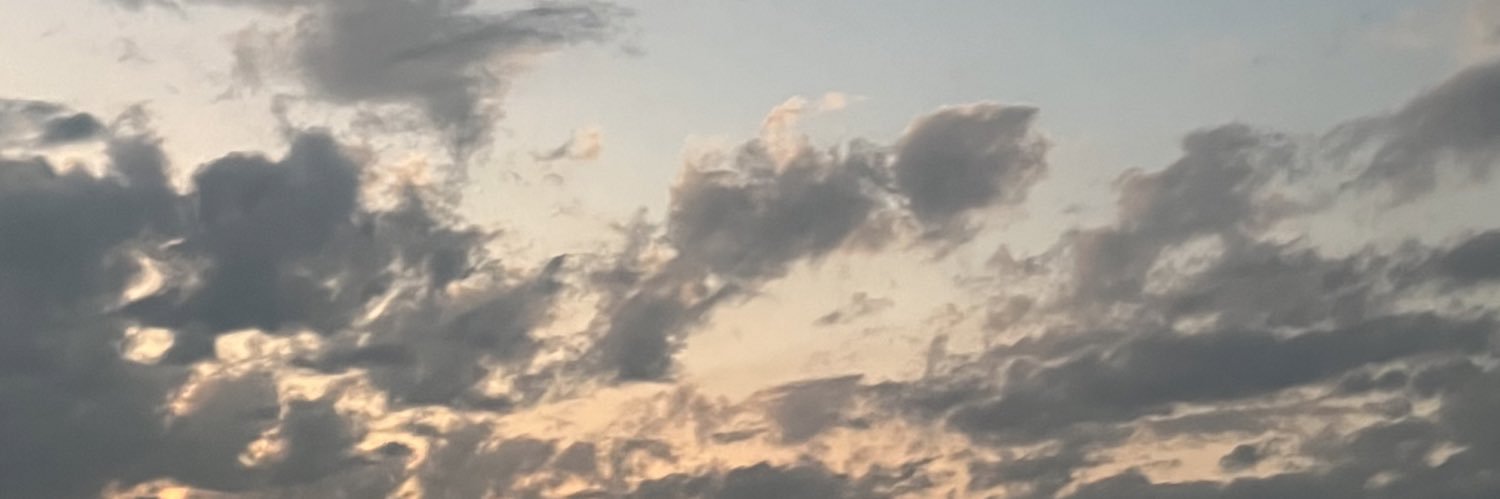 reihormon's profile banner image