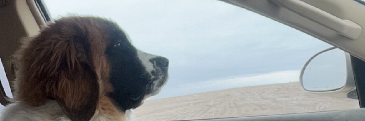 Wy🅰️tt🫡 banner