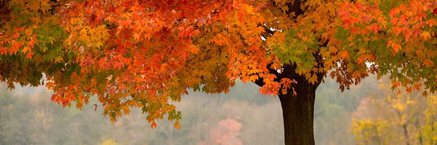SanFranSam_54's profile banner image