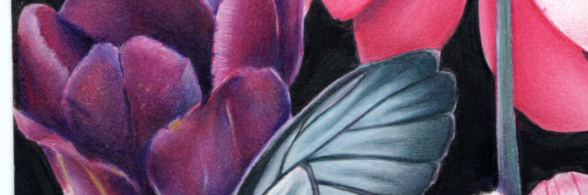 S_Raven_A's profile banner image