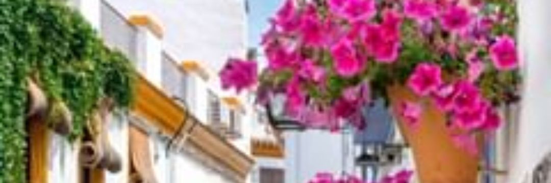 marizagon11's profile banner image