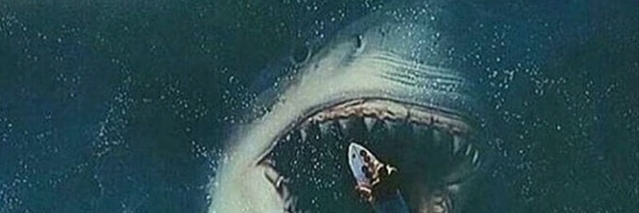 nathanielbr0wn's profile banner image
