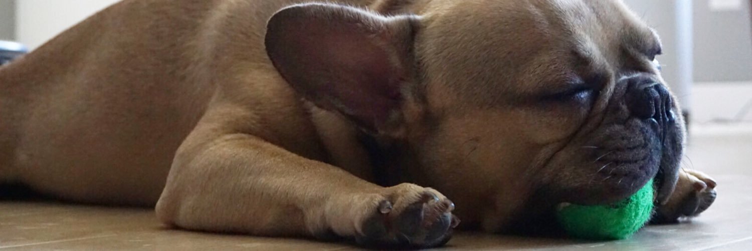 frenchdumpling's profile banner image