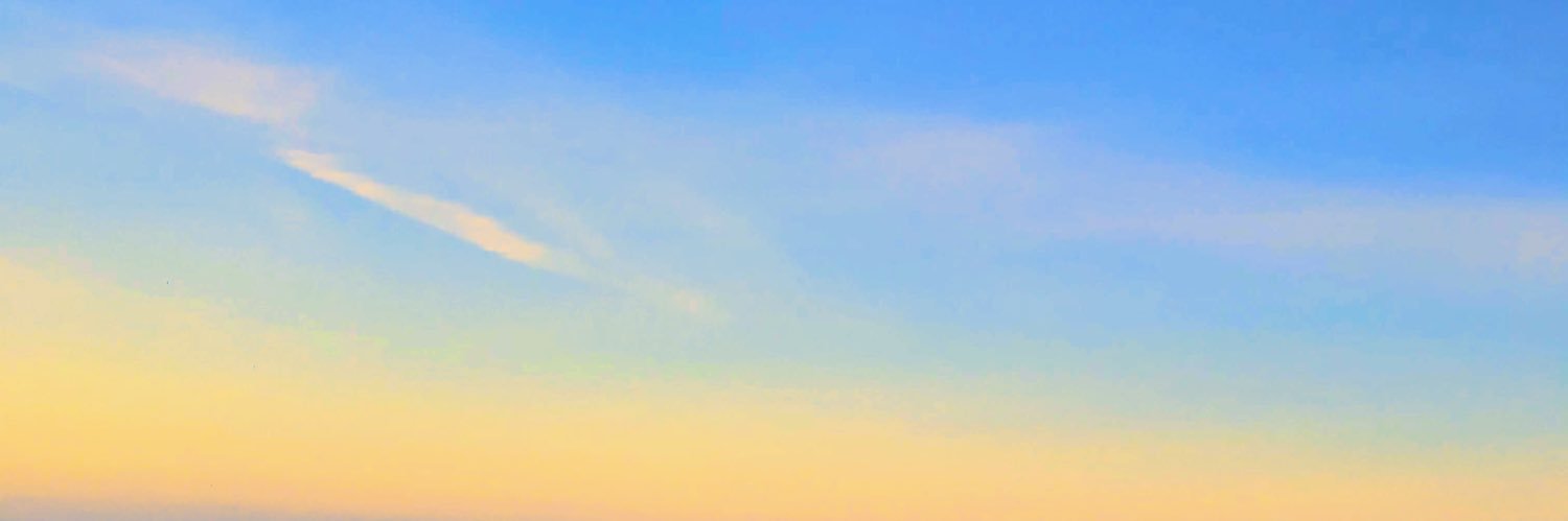 ysonkayaa's profile banner image