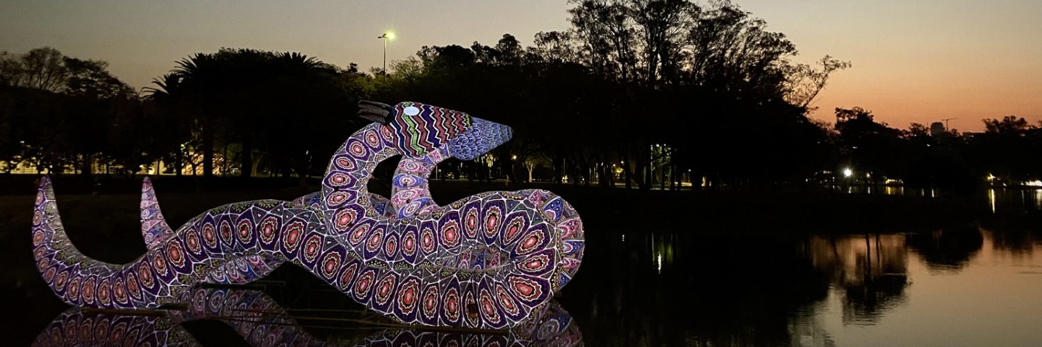 carolasalgado's profile banner image