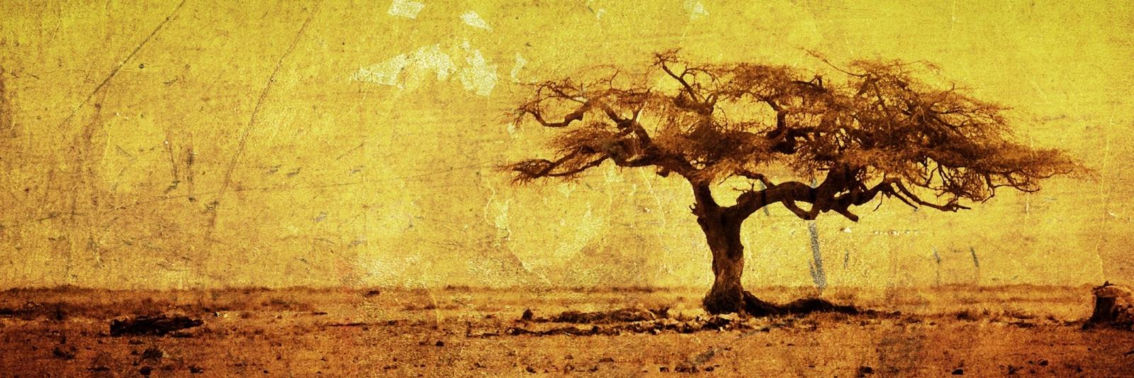 YellowChReview's profile banner image