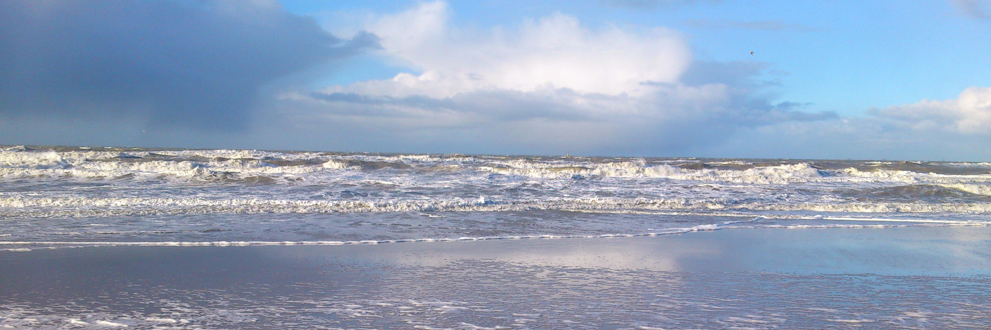 IDSensitivity's profile banner image