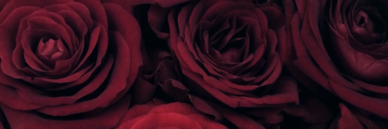 Alexandra_Mikk's profile banner image
