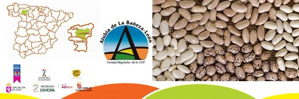 alubiadebaneza Profile Banner